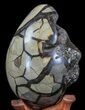 Septarian Dragon Egg Geode - Black Crystals #40938-2